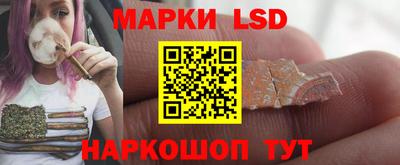 Альфа ПВП Нальчик