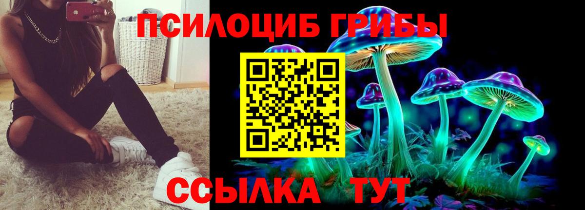 Псилоцибиновые грибы мицелий Сосновоборск